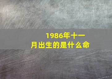 1986年十一月出生的是什么命