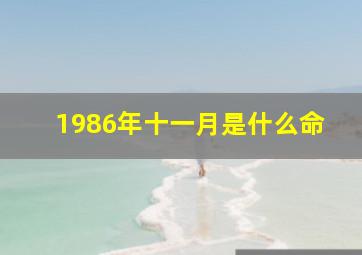 1986年十一月是什么命