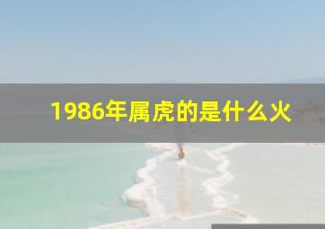 1986年属虎的是什么火