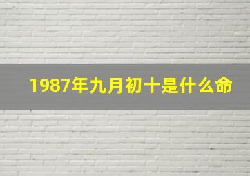 1987年九月初十是什么命