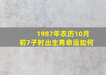 1987年农历10月初7子时出生男命运如何