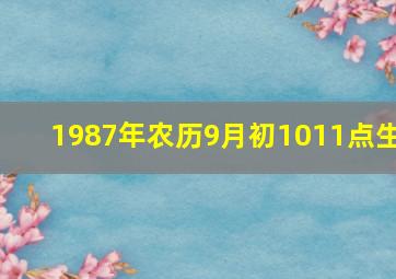 1987年农历9月初1011点生