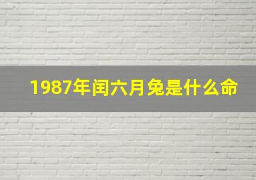 1987年闰六月兔是什么命