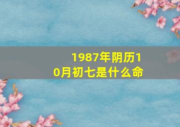 1987年阴历10月初七是什么命