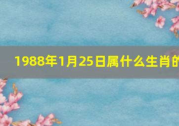 1988年1月25日属什么生肖的