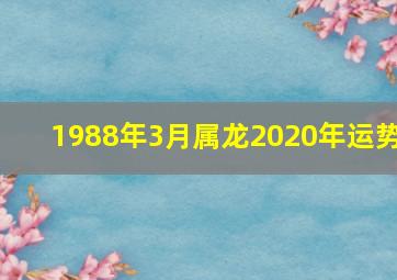 1988年3月属龙2020年运势