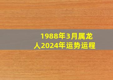 1988年3月属龙人2024年运势运程