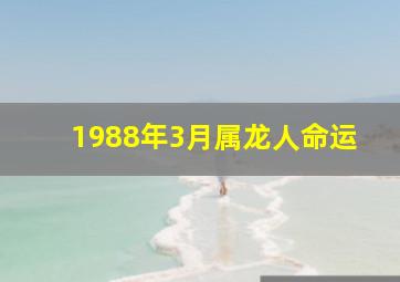 1988年3月属龙人命运