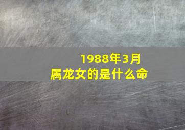 1988年3月属龙女的是什么命