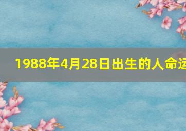 1988年4月28日出生的人命运