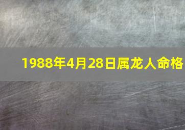 1988年4月28日属龙人命格