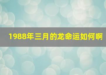 1988年三月的龙命运如何啊