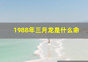 1988年三月龙是什么命