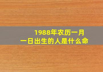 1988年农历一月一日出生的人是什么命