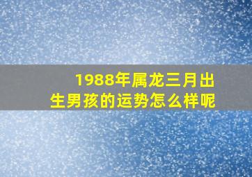 1988年属龙三月出生男孩的运势怎么样呢