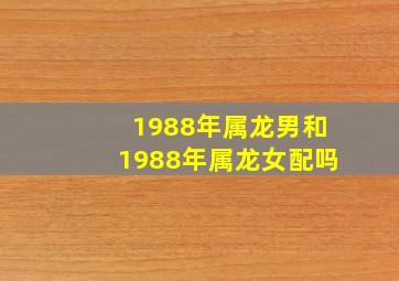 1988年属龙男和1988年属龙女配吗