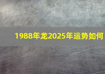 1988年龙2025年运势如何