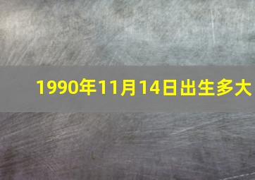 1990年11月14日出生多大