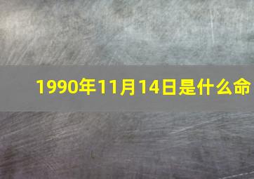 1990年11月14日是什么命