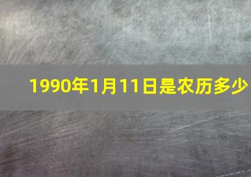 1990年1月11日是农历多少