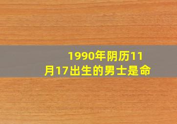 1990年阴历11月17出生的男士是命