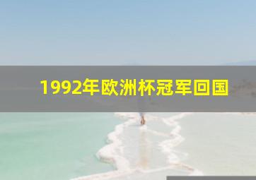 1992年欧洲杯冠军回国