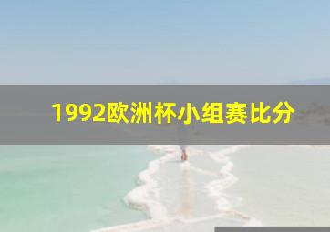 1992欧洲杯小组赛比分