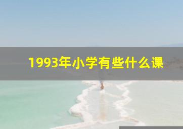 1993年小学有些什么课