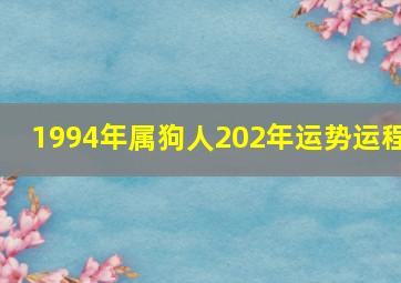 1994年属狗人202年运势运程