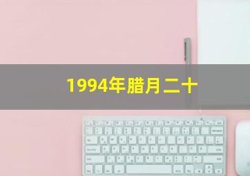 1994年腊月二十