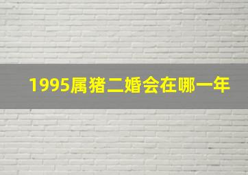 1995属猪二婚会在哪一年