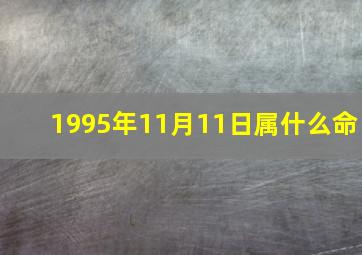 1995年11月11日属什么命