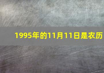 1995年的11月11日是农历