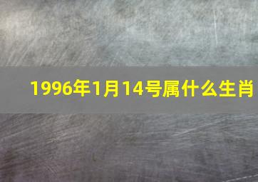 1996年1月14号属什么生肖