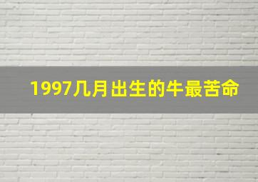 1997几月出生的牛最苦命