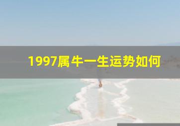 1997属牛一生运势如何