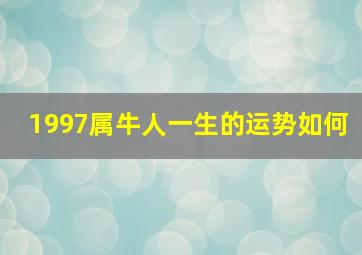 1997属牛人一生的运势如何