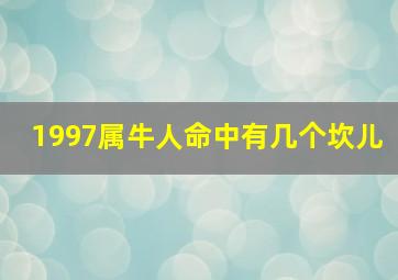 1997属牛人命中有几个坎儿