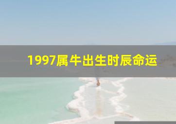 1997属牛出生时辰命运