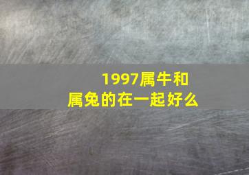 1997属牛和属兔的在一起好么