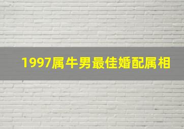 1997属牛男最佳婚配属相