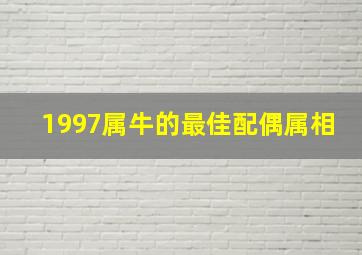 1997属牛的最佳配偶属相