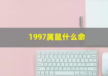 1997属鼠什么命