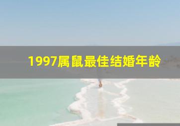 1997属鼠最佳结婚年龄