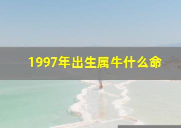 1997年出生属牛什么命