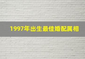 1997年出生最佳婚配属相