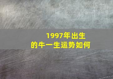 1997年出生的牛一生运势如何