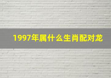 1997年属什么生肖配对龙