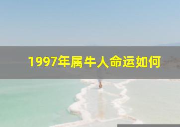 1997年属牛人命运如何