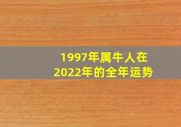 1997年属牛人在2022年的全年运势